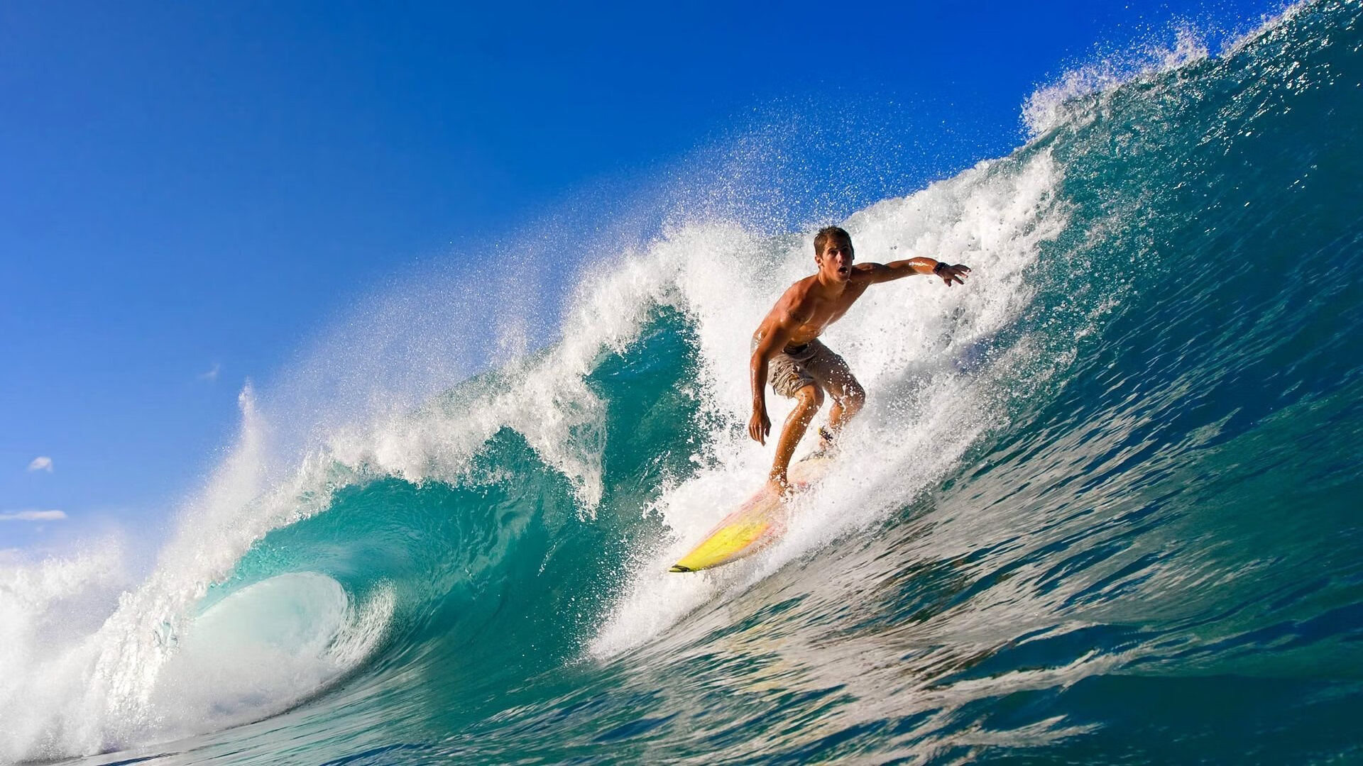 赛道与球场的双重奏,F1街道赛焦点战与凯尔特人击溃老鹰的胜利哲学
